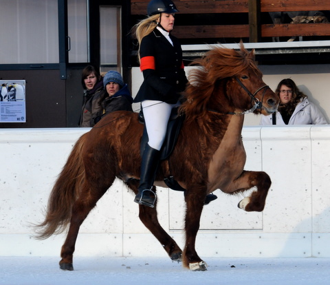 090311_003 090311_003