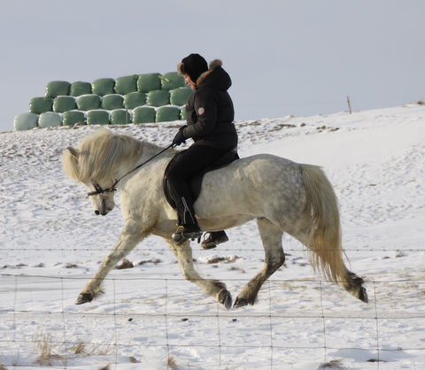 gski_og_ylva_006 gski_og_ylva_006