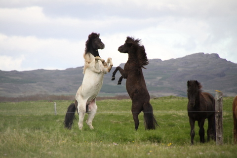 ketilsstair_110610_001 ketilsstair_110610_001