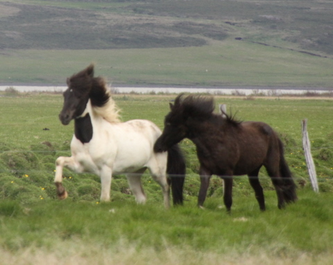 ketilsstair_110610_007 ketilsstair_110610_007