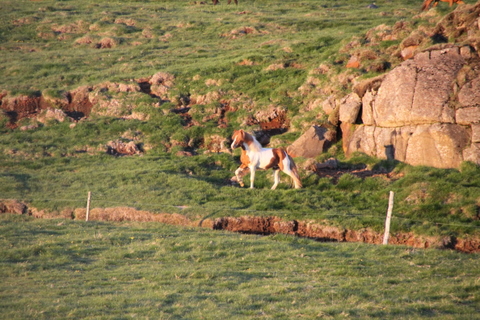 ketilsstair_110610_016 ketilsstair_110610_016