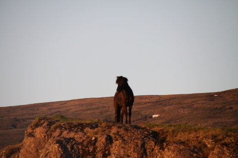 ketilsstair_110610_017 ketilsstair_110610_017