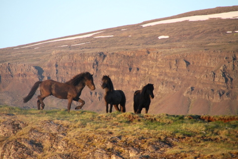 ketilsstair_110610_019 ketilsstair_110610_019
