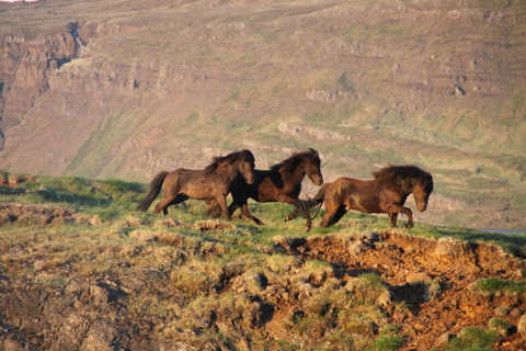 ketilsstair_110610_021 ketilsstair_110610_021