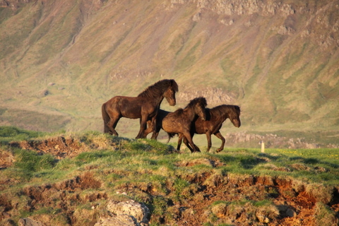 ketilsstair_110610_023 ketilsstair_110610_023