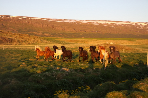 ketilsstair_110610_027 ketilsstair_110610_027