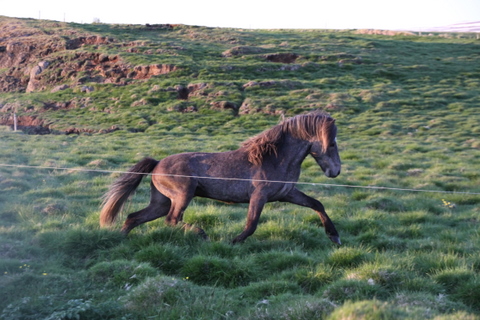 ketilsstair_110610_031 ketilsstair_110610_031