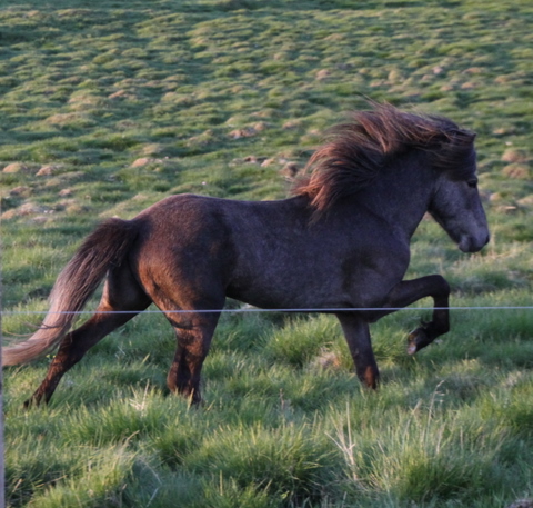 ketilsstair_110610_033 ketilsstair_110610_033