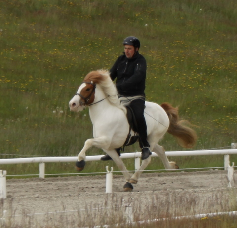 lfadrttning_001 lfadrttning_001