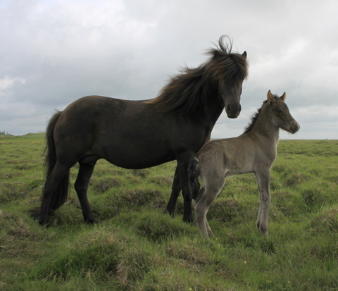 lffinnsafkvmi0710_001 lffinnsafkvmi0710_001