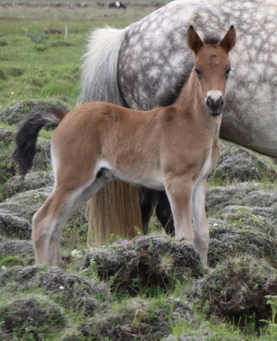 lffinnsafkvmi0710_002 lffinnsafkvmi0710_002