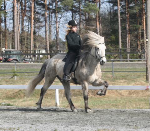 monsi_og_iselin_001 monsi_og_iselin_001