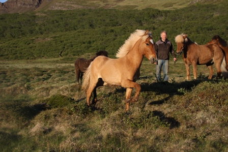 vertutgmlu_folarnir_110610_004 vertutgmlu_folarnir_110610_004