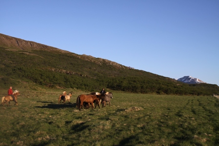 vertutgmlu_folarnir_110610_012 vertutgmlu_folarnir_110610_012