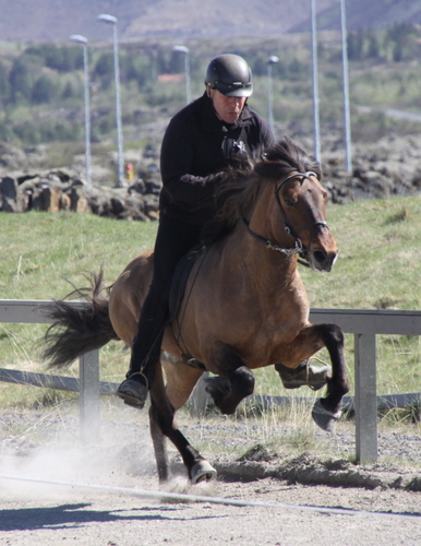 hafnarfj._26_mai10_021-1 hafnarfj._26_mai10_021-1