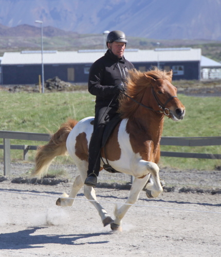 hafnarfj._26_mai10_033 hafnarfj._26_mai10_033