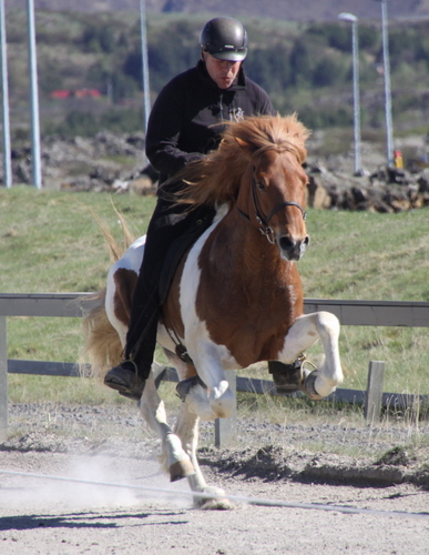 hafnarfj._26_mai10_040 hafnarfj._26_mai10_040