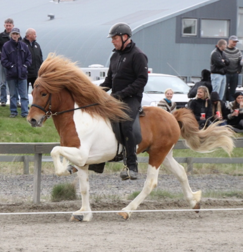 hafnarfj._28_mai_yfirlit_073 hafnarfj._28_mai_yfirlit_073