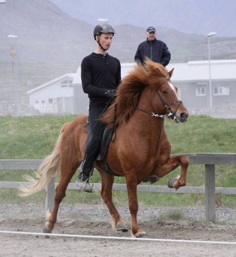 hafnarfj._28_mai_yfirlit_091 hafnarfj._28_mai_yfirlit_091