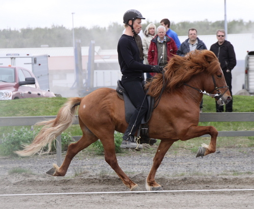 hafnarfj._28_mai_yfirlit_093 hafnarfj._28_mai_yfirlit_093