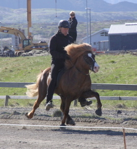 hahnarfj.25_og_27_mai10_002-1