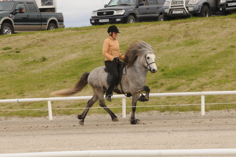 kraflar_ketilsstum_hella_20080530-001 kraflar_ketilsstum_hella_20080530-001