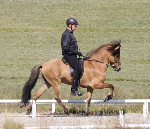 kynbtas._0710_002 kynbtas._0710_002