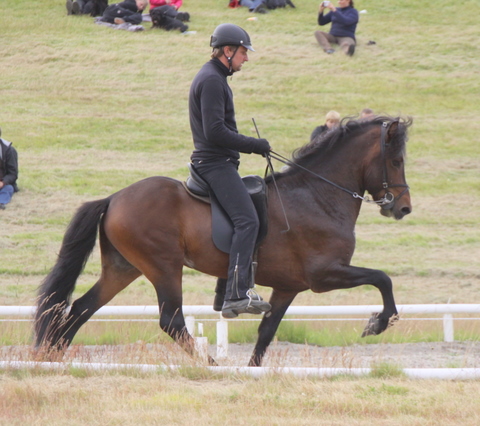 kynbtas._0710_004 kynbtas._0710_004