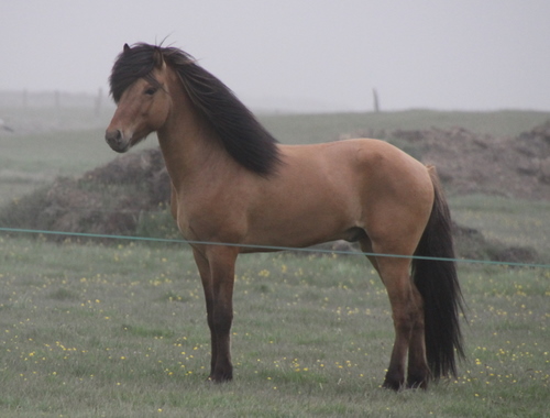 ljni_og_amazon_jn10_001 ljni_og_amazon_jn10_001