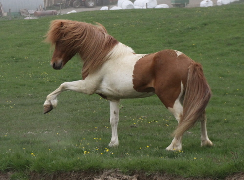 ljni_og_amazon_jn10_006 ljni_og_amazon_jn10_006