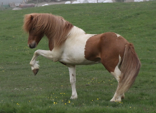 ljni_og_amazon_jn10_007 ljni_og_amazon_jn10_007