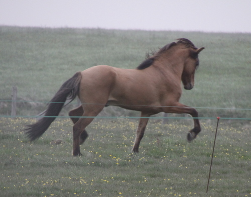 ljni og amazon jn10 009