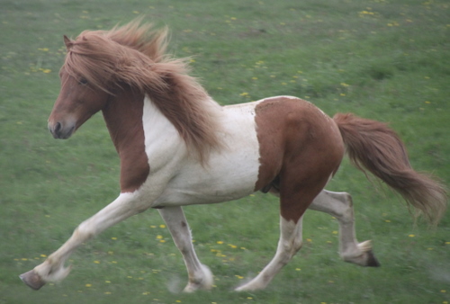 ljni_og_amazon_jn10_010 ljni_og_amazon_jn10_010