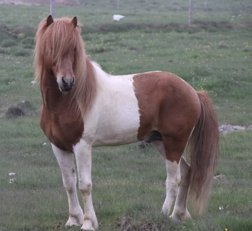 ljni_og_amazon_jn10_015 ljni_og_amazon_jn10_015