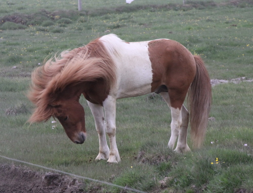 ljni_og_amazon_jn10_016 ljni_og_amazon_jn10_016