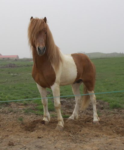 ljni_og_amazon_jn10_019 ljni_og_amazon_jn10_019