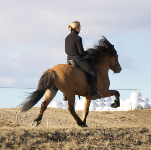 &Aacute;sa og Amazon 2010