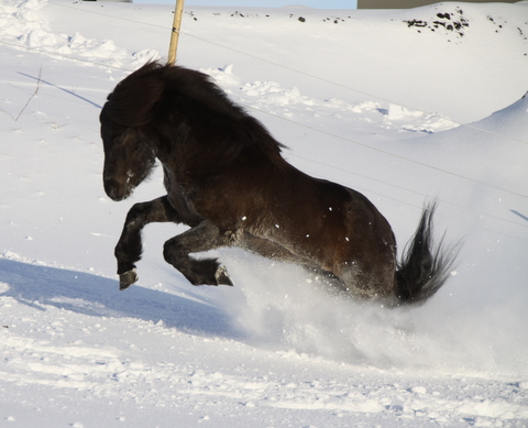 sth._feb.10_021 sth._feb.10_021