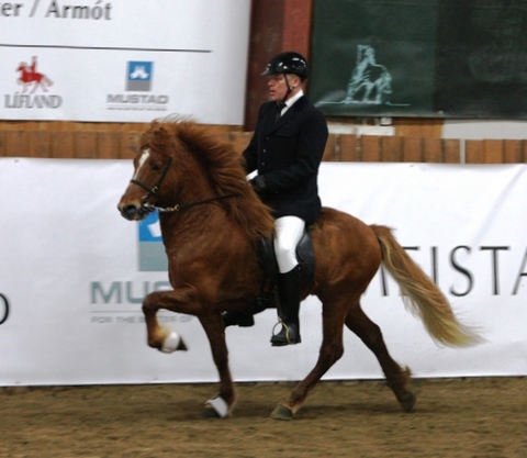 vakar_tlt_meist.d11_001 vakar_tlt_meist.d11_001