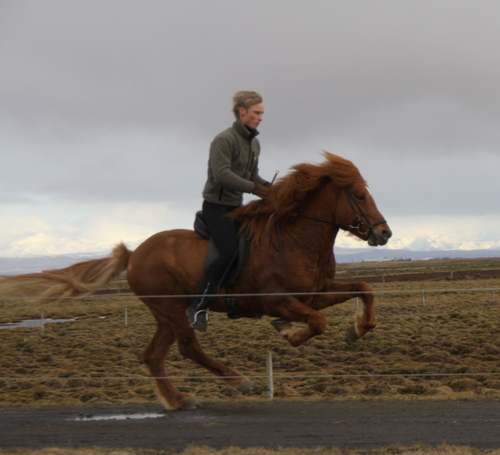 andvaramenn10_005 andvaramenn10_005