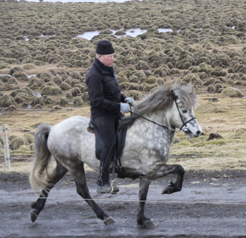 andvaramenn10_008 andvaramenn10_008