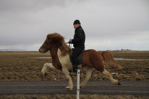 andvaramenn_mars10_003 andvaramenn_mars10_003