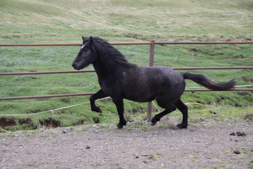 ausurlandhaust_09_002 ausurlandhaust_09_002