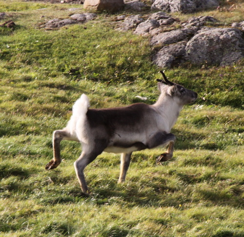 ausurlandhaust_09_019 ausurlandhaust_09_019