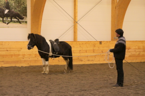 borba_nov10_011 borba_nov10_011