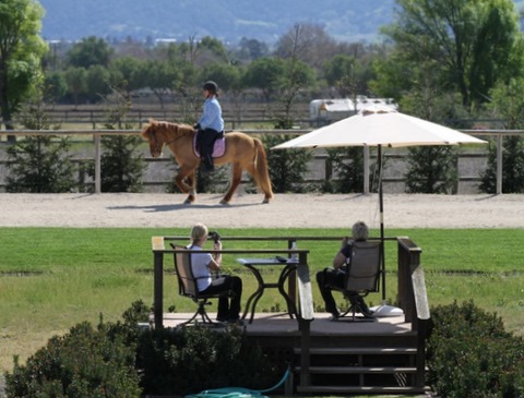 cl_mars11_004 cl_mars11_004