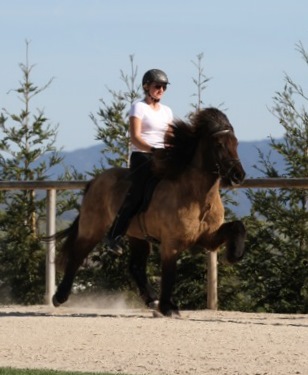 cl_mars11_006 cl_mars11_006