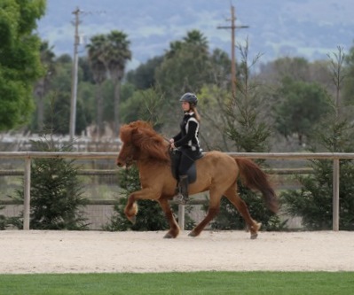 cl_mars11_008 cl_mars11_008