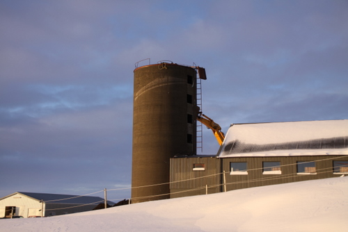 fall_turnsins_30_007 fall_turnsins_30_007