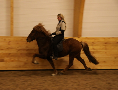 gormur_og_freyja_002 gormur_og_freyja_002